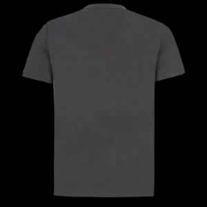 Scania T-shirts | Grå t-shirt ”duo” med Grand Griffin – herr