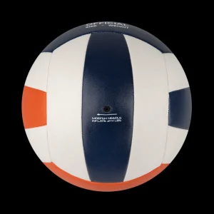 Scania Sport | Volleyboll